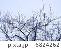 豪雪地方 6824262