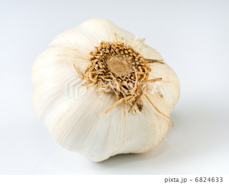 garlic bulb 6824633