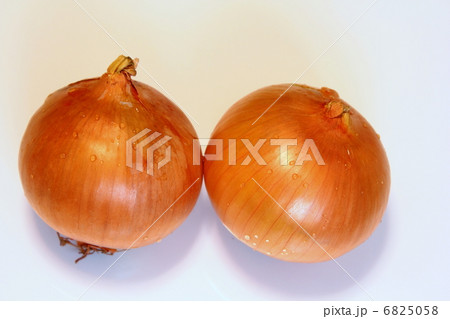 伝統の札幌黄タマネギ 伝統の札幌黄タマネギ 6825058