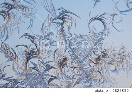 The abstract frosty pattern on glass The abstract frosty pattern on glass 6825339