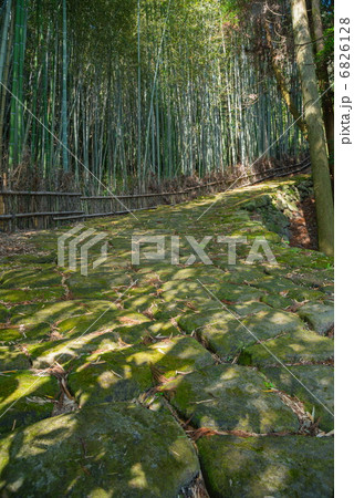 龍門司坂 6826128