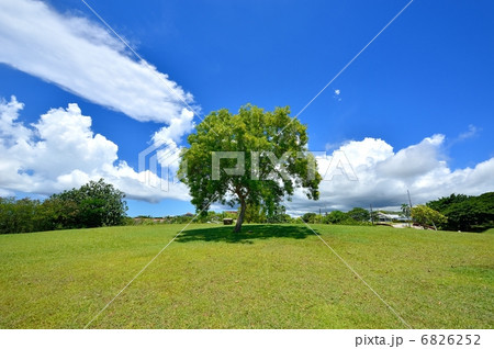 アプガン砦 アプガン砦 6826252