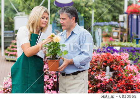 Man looking for some help holding a plant 6830968