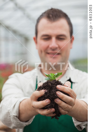 Gardener holding shrub about to plant Gardener holding shrub about to plant 6831003