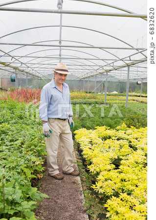 Smiling man standing in greenhouse 6832620