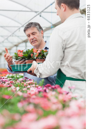 Employee holding a box of flowers as customer is looking at them 6833125