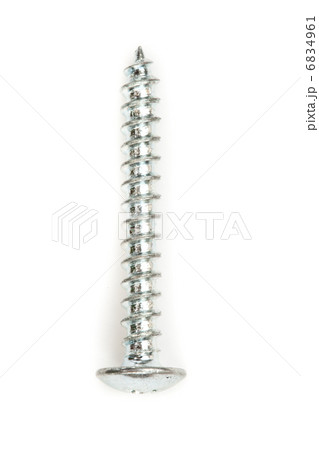 Silver screw 6834961
