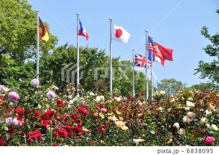 かのやばら園 かのやばら園 6838095