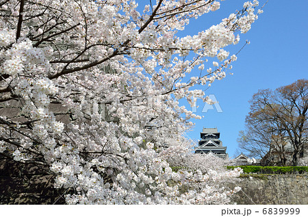 熊本城 熊本城 6839999