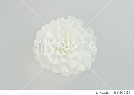 白バックの白い造花 6840532