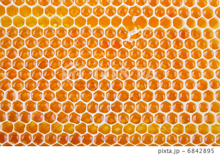 fresh honey in comb fresh honey in comb 6842895