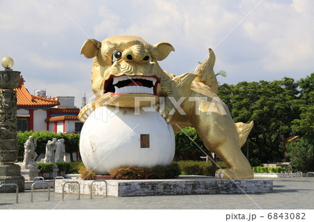 中正公園の狛犬 6843082