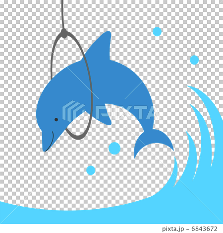 Crawl around dolphins 6843672