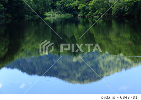 志賀高原　長池 6843781