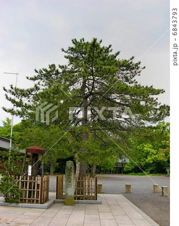 敦賀紀行 6843793