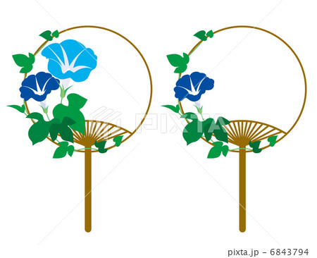 朝顔　団扇 6843794