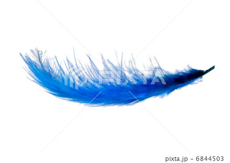 Flying feather 6844503