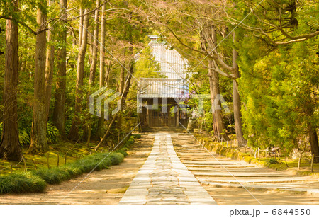 寿福寺　春 6844550