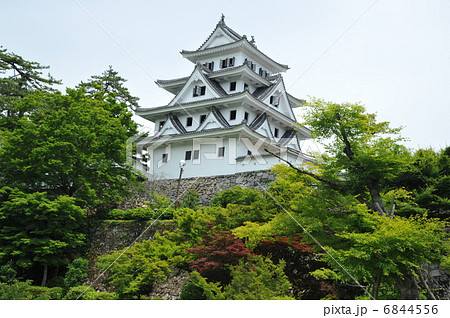 郡上八幡城 6844556