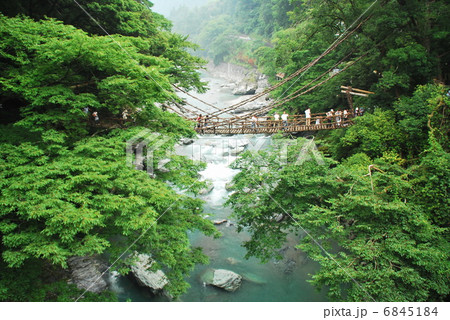 祖谷渓のかずら橋 6845184