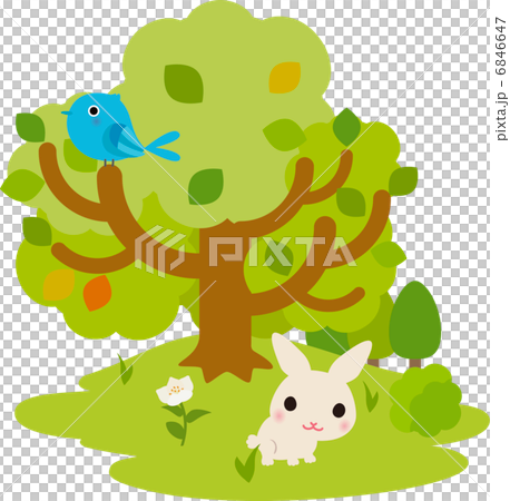 樹木,鳥類和兔子 樹木,鳥類和兔子 6846647