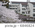 校舎と桜 6846824