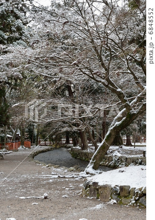 上賀茂神社、ならの小川 上賀茂神社、ならの小川 6848552