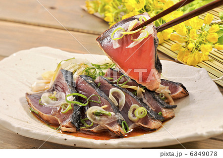 鰹のタタキ 6849078