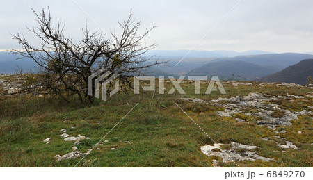 Cave city Mangup-Kale 6849270