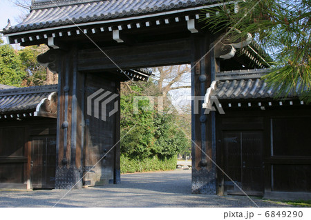京都御苑　堺町御門 6849290
