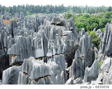 雲南省・石林 6850056