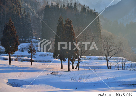 冬の山里の朝 6850740