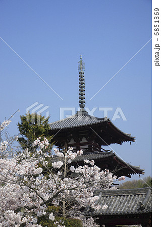 桜咲く法輪寺 6851369