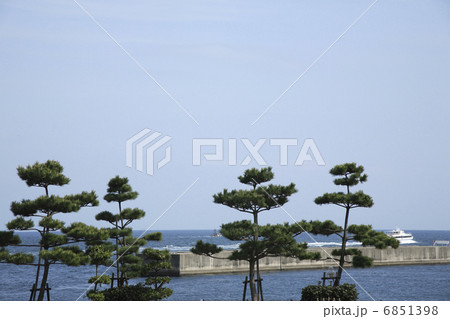 松と岩屋港 6851398