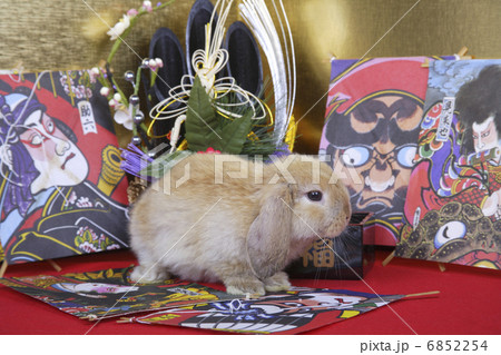 門松と金屏風と和凧でウサギのお正月 6852254