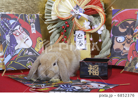 門松と金屏風と和凧でウサギのお正月 6852376