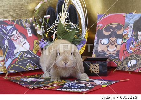 門松と金屏風と和凧でウサギのお正月 門松と金屏風と和凧でウサギのお正月 6853229