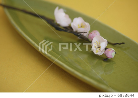 萌葱色の和皿と桃の花 萌葱色の和皿と桃の花 6853644
