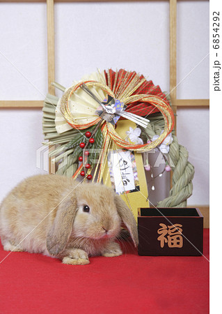 しめ縄とウサギのお正月 6854292