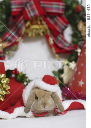 ウサギさんのクリスマス 6854450