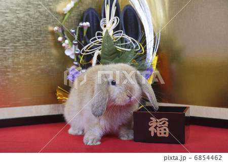 門松と金屏風でウサギのお正月 6854462