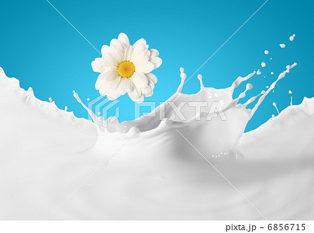 Image of milk splashes 6856715