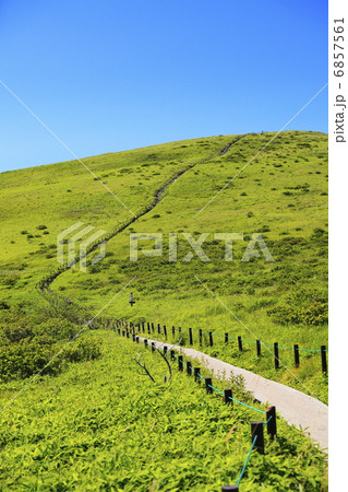 夏のイメージ　霧ヶ峰高原の遊歩道 6857561