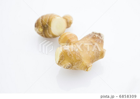 ショウガ 6858309