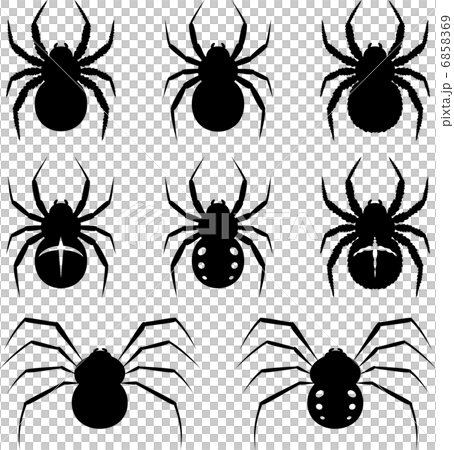 Spiders 6858369