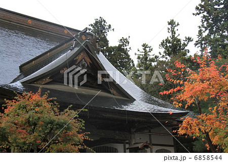 中尊寺 6858544