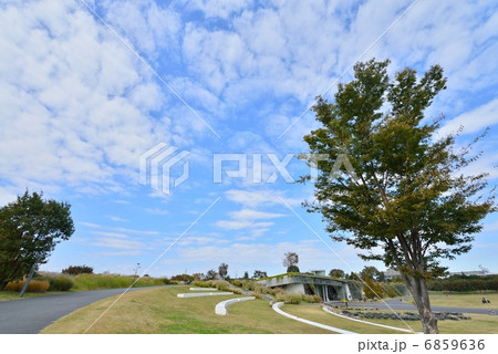 昭和記念公園　秋晴れ 6859636