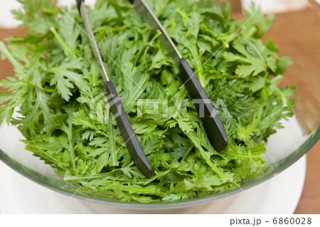 春菊のサラダ 6860028