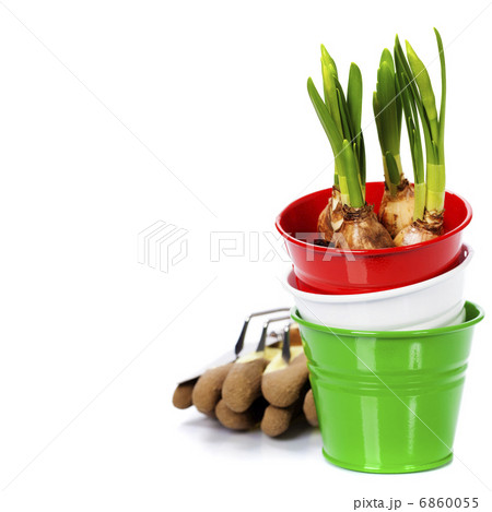 Spring flowers and garden tools 6860055