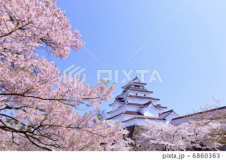 桜咲く会津鶴ヶ城 桜咲く会津鶴ヶ城 6860363